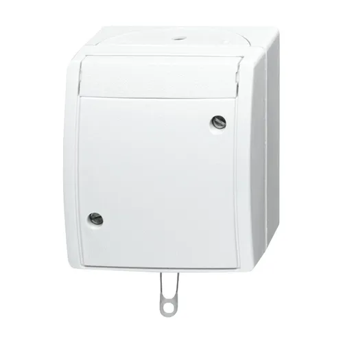 Busch-Jaeger 2610/6 W-54 Zugschalter - Smart Home Zugschalter für Aus- und Wechselschaltung, mit Schraubklemmen und beschriftbarem Träger, ideal für individuelle Anpassungen im Haus.