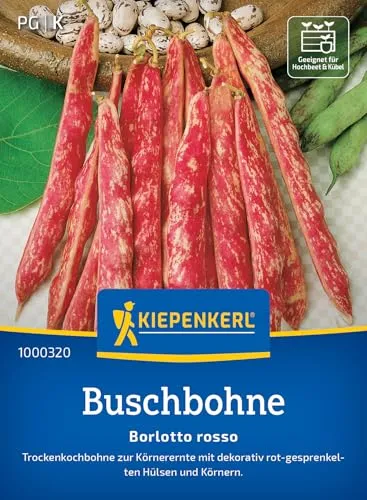 Kiepenkerl Buschbohnensamen Borlotto Rosso 1000320 - Gemüsesamen für eine Trockenkochbohne und einem Inhalt für 5 bis 10 lfd. Meter - Saatgut, Pflanzen