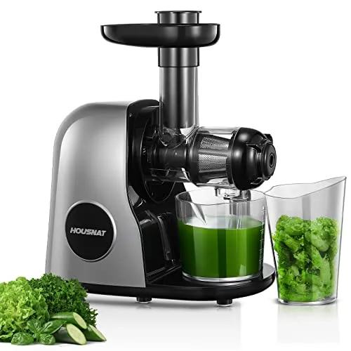 HOUSNAT Slow Juicer, Entsafter Gemüse und Obst, Profi Entsafter mit Ruhigem Motor │ Umkehrfunktion │ Saftkanne │ Reinigungsbürste │ 2 Filterelemente, BPA Frei (Silber)