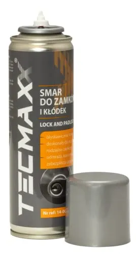 TECMAXX Schmierfett für Vorhangschloss und Schloss 100 ml - Schmieröl zu Türschlosspflege - Hochleistungsfett schützt vor Blockierung
