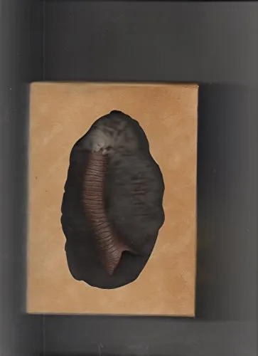 Dune - Der Wüstenplanet - Paradise Edition [3 DVDs]