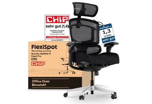 FLEXISPOT Premium Ergonomischer Bürostuhl von FlexiSpot