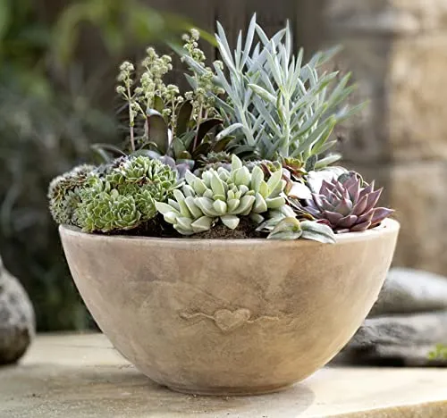 Dekoleidenschaft Pflanzschale Herz aus Terracotta, Ø 32 cm - Pflanzschale in moderner Herzform, aus schwerer Terracotta mit integriertem Wasserablauf. Ideal für Garten-Deko, nicht frostsicher und perfekt für kreative Pflanzenarrangements.