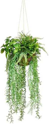 Künstliche Zimmerpflanze Dekokugel zum Hängen - Creativ Green - Künstliche Pflanzen, ideal für eine pflegeleichte Raumgestaltung mit einer Höhe von 80 cm und einem modernen Design, das jedem Raum Leben verleiht.