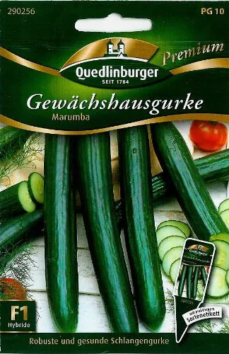 Gewächshausgurke Marumba F1 von Quedlinburger