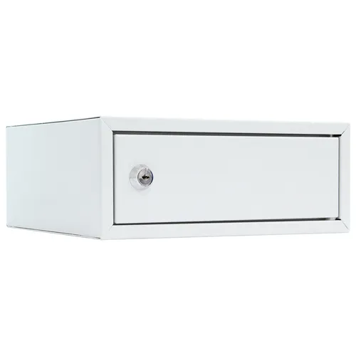 Profirst Wertschutzschrank Kaisten 1 mit Zylinderschloss - Tresor für schnelles Wegsperren von Wertsachen, aus hochwertigem Stahl, ideal für privat oder gewerblich, lichtgrau, platzsparend und sicher.