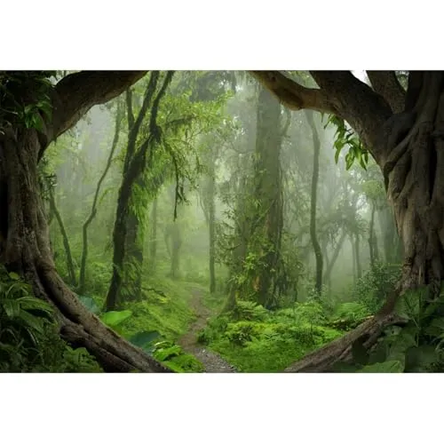 YongFoto 1,5x1m Polyester Foto Hintergrund Grüne Wald Dschungel Ansicht Große alte Bäume Schmalen Pfad Fotografie Hintergrund Backdrop Fotostudio Hintergründe Requisiten