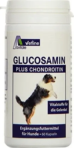 GLUCOSAMIN+CHONDROITIN Kapseln f.Hunde 60 St