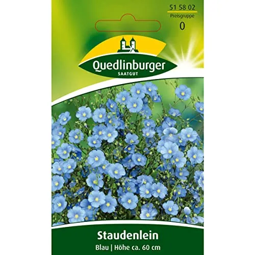Lein, Blau, Linum perenne, ca. 50 Samen