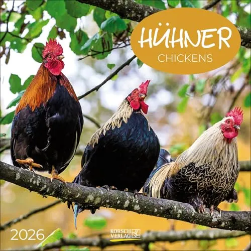 Hühner 2026: Broschürenkalender mit Ferienterminen. Tierkalender mit viel Platz für Notizen. Mit Monatskalendarium zum Eintragen. 30 x 30 cm