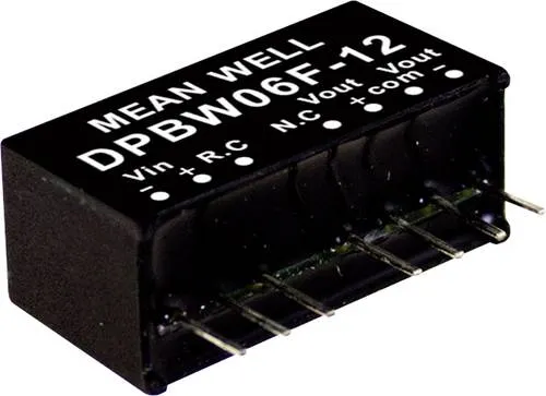 MEAN WELL DPBW06F-15 DC/DC-Wandlermodul 200mA 6W Anzahl Ausgänge: 2 x Inhalt 1St.