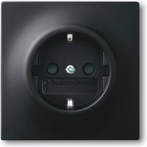 Busch-Jaeger Steckdosen-Einsatz (2CKA002011A3886)