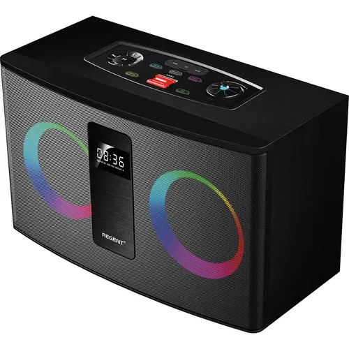 Ferguson Regent 300BT - Bluetooth Lautsprecher 60W - Tragbarer Bluetooth-Lautsprecher mit kraftvollem 60W Sound und Ultra-Bass. Perfekt für Partys und kleine Räume, ausgestattet mit FM-Radio, USB/AUX und dynamischen RGB-LEDs.