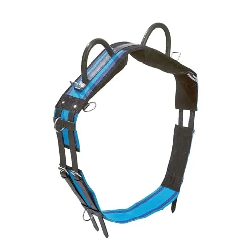 Busse Longiergurt Double, Shetty, Navy/Sky Blue