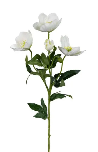 Kunstblume Christrose 62cm PM Dekoblumen künstliche Christrose Blumen Helleborus, Seidenblumen Roß, Höhe 62 cm, Farbe: Weiß