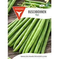 FRANKONIA Buschbohne Maja