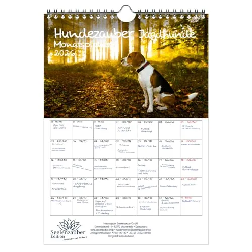 Hundezauber Jagdhunde Planer DIN A4 Kalender für 2026 Welpen und Hunde - Seelenzauber