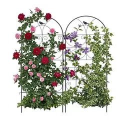 Relaxdays Rankgitter 2er Set, 116x50 cm, Metall, Schwarz - Dieses dekorative Rankgitter-Set aus robustem Metall bietet Kletterpflanzen idealen Halt und verleiht deinem Garten einen eleganten Look. Einfach im Boden zu befestigen und flexibel einsetzbar für eine ansprechende Pflanzenpräsentation.