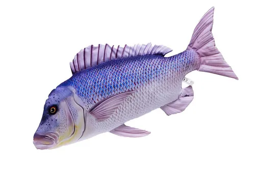 GABY Dekokissen GABY fish pillows - Zahnbrasse - 43 cm - Kreatives Dekokissen mit Fischmotiv, ideal zur Verschönerung Ihres Wohnraums. Aus hochwertigem Polyester gefertigt, bietet es ein einzigartiges Design und Komfort.