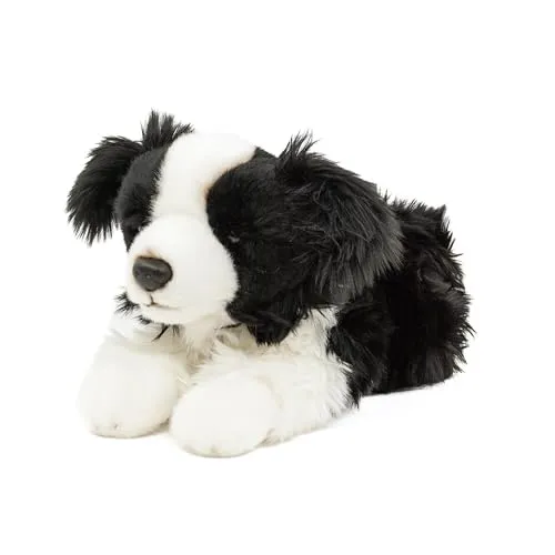 Teddys Rothenburg Kuscheltier Hund Border Collie 30 cm - Stofftier aus kuschelweichem Plüsch, liegend und maschinenwaschbar bis 30°C – ideal für Kinder und als Geschenk!