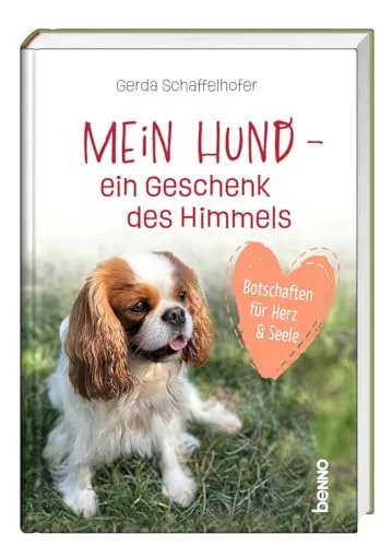 Mein Hund – ein Geschenk des Himmels: Botschaften für Herz und Seele