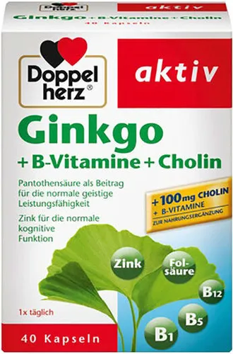 Doppelherz | Ginkgo+B Vitamin+Cholin | 40 Kapseln