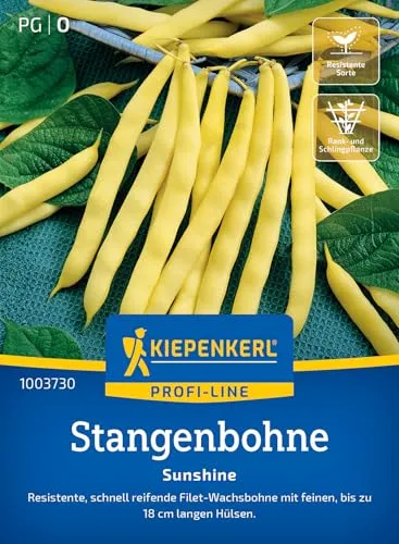 Kiepenkerl Profi-Line Stangenbohnensamen Sunshine 1003730 in gelb von Kiepenkerl