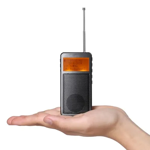 Raddy RF205 Tragbares FM Radio, Taschen-Mini-Radio mit BT 5,3 Verbindung, FM-zu-BT-Signalausgang, MP3-Musikplayer-Lautsprecher batteriebetrieben, Typ-C Aufladung, Wecker, Grau