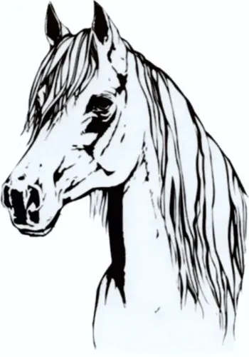 Hermann Schütz Aufkleber Pferd 105x75mm  Aufkleber