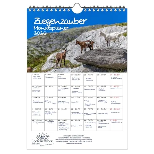 Ziegenzauber Planer DIN A4 Kalender für 2026 Ziegen und Zicklein - Seelenzauber