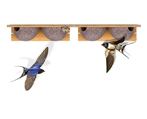 BigDean Schwalbennistkasten Doppelnest 2 Stück von BigDean