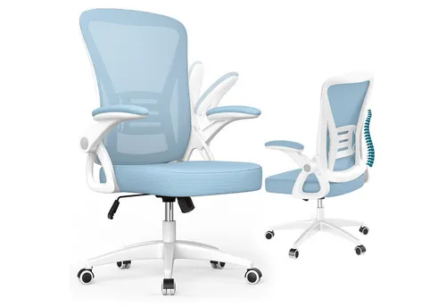 BIGZZIA Ergonomischer Bürostuhl mit klappbaren Armlehnen