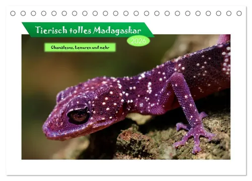 Dorothea Früh | Tierisch tolles Madagaskar - Chamäleons, Lemuren und mehr...