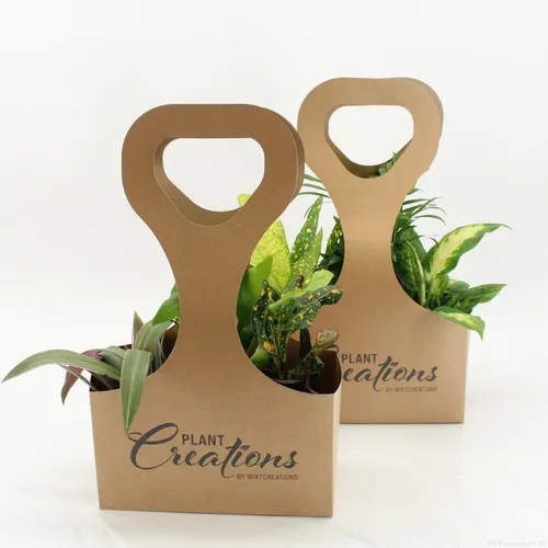 Geschenkset ECO Tas3–3 Pflanzenmix mit Ecotas-Tasche – Ø9 cm, Höhe 30 cm