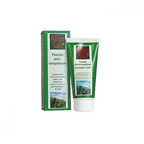 Allga San Pomata-Rissschutz 90ml