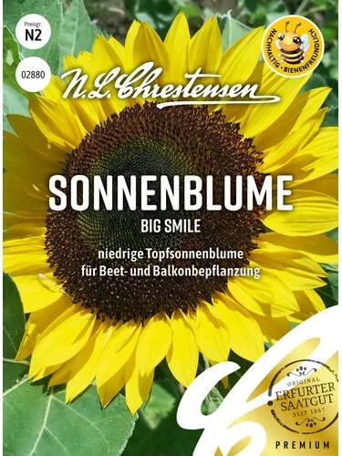 Chrestensen Sonnenblume Big Smile Samen, Gr. N2 Saatgut lange Blütezeit für Beeteinfassungen oder für den Balkonkasten