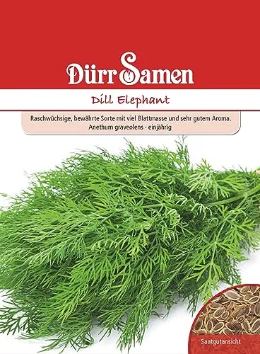 Dürr-Samen - Dill Elephant Saatgut