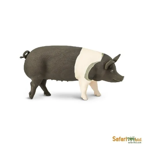Safari Ltd 161829 Hampshire-Schwein 10 cm Serie Bauernhof