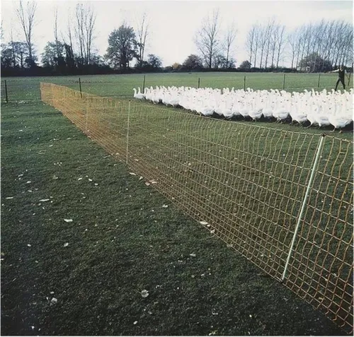 Euro Netz Geflügel, 112 cm hoch, Einzelspitze