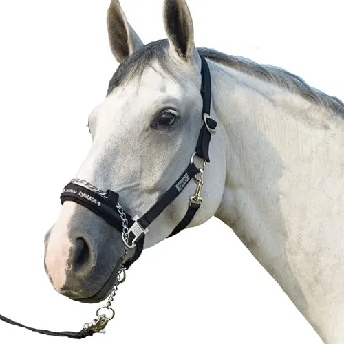 Standard Halfter CONTROL PIN BUCKLE FACELIFT in blau von Eskadron