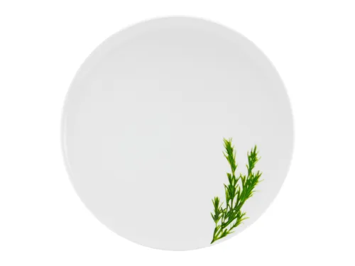 Pizzateller KRÄUTER ROSMARIN D 33 cm weiß in weiß von Sonstige