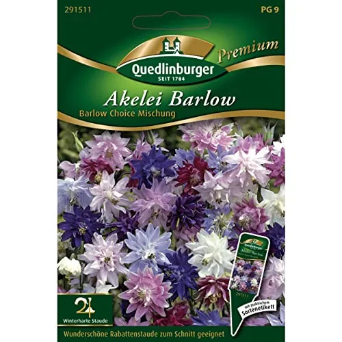 Akelei, Barlow Choice Mischung