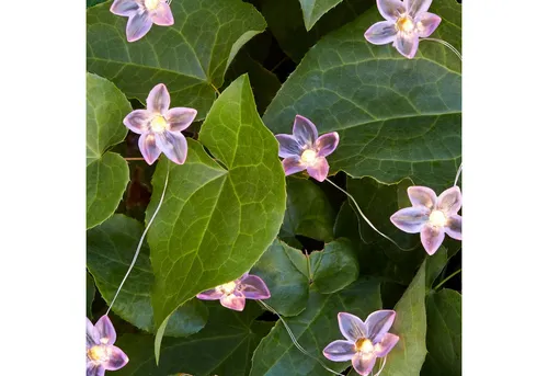 Lichtschläuche & Lichterketten von Lights4fun