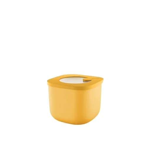 Guzzini