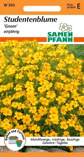 SAMEN PFANN Blumensamen Tagetes, Gnom - Saatgut Tagetes-Samen Samen, Tagetes tenuifolia