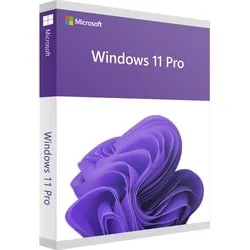 Microsoft Windows 11 Pro DE - Betriebssystem für hybride Arbeitsumgebungen, flexible Benutzererfahrung und optimierte Produktivität