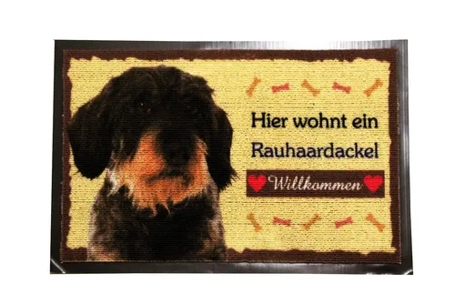 Fußmatte Rauhaardackel, Fußabtreter, Türvorleger, Hund, wetterfest (40)