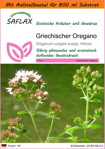 SAFLAX Kräutersamen SAFLAX - Garden in the bag - Griechischer Oregano