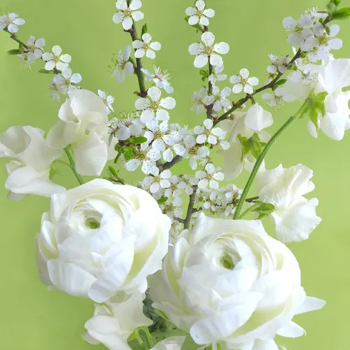 Papierservietten Braun von Braun & Company