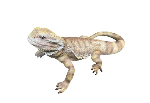 Aspinaworld Gartenfigur Bartagame 34 cm - Figur für den Garten aus robustem Kunstharz, wetterfest und detailreich gestaltet, ideal für Gartenliebhaber und als dekorativer Akzent.